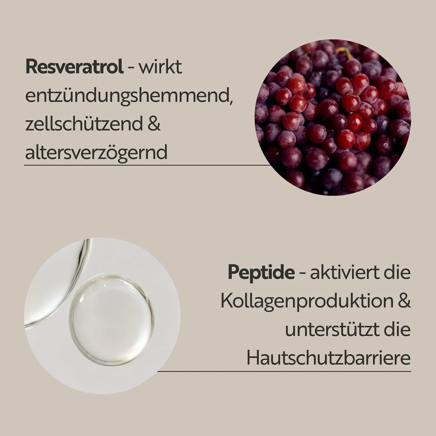 Крем для лица SPF15 M. ASAM Дневной лифтинг- «Resveratrol Premium NT50 Longlife» от — фото 4
