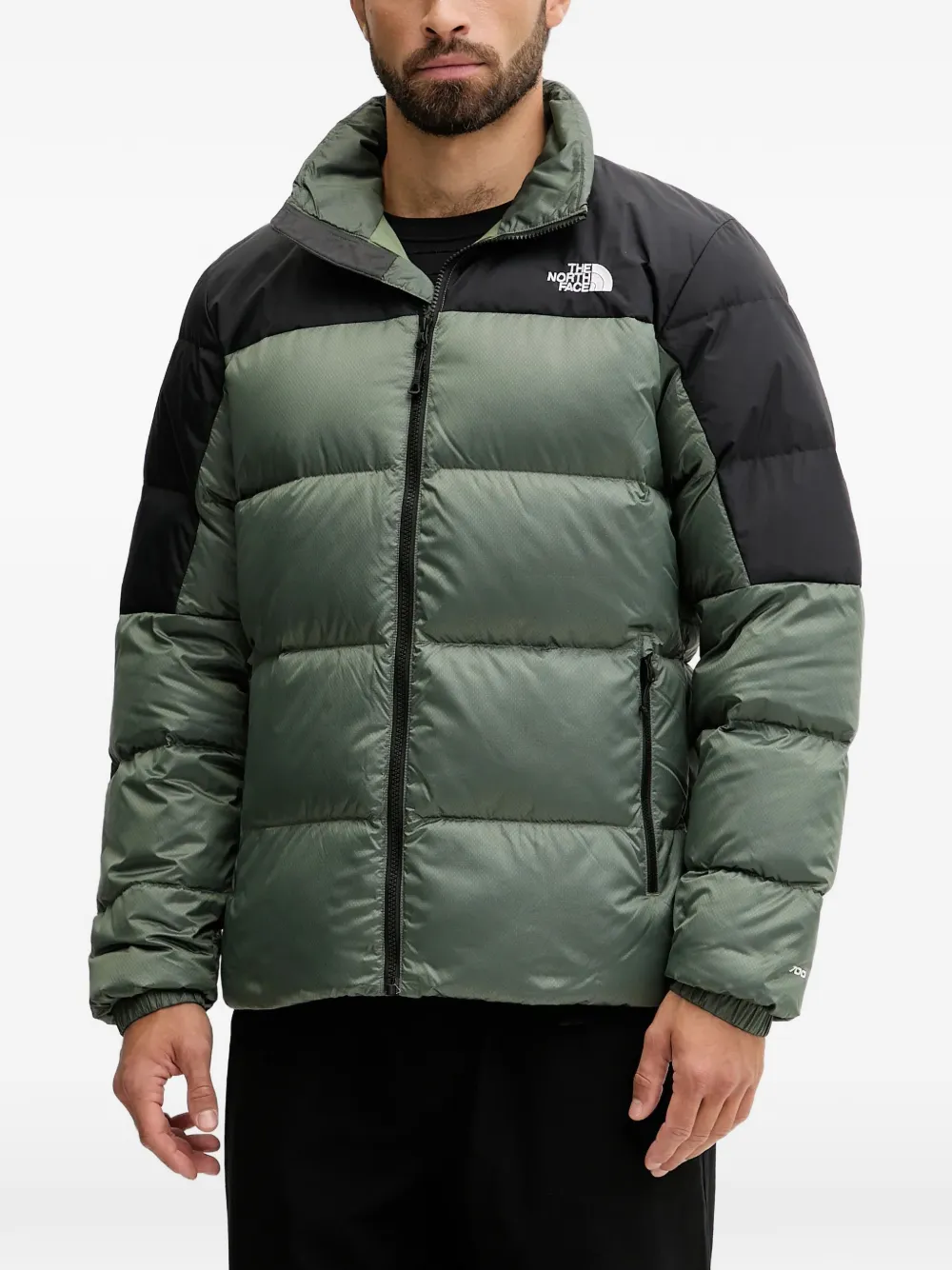 

Лыжная куртка с нашивкой-логотипом The North Face, зеленый