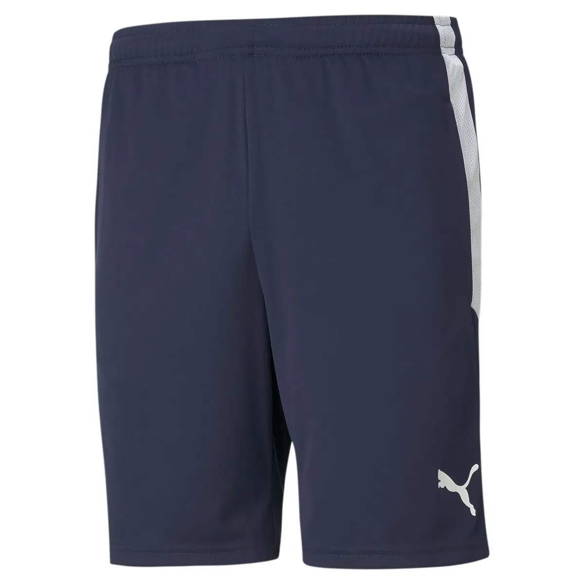 

Тренировочные шорты PUMA "TEAMLIGA TRAINING SHORTS", белый