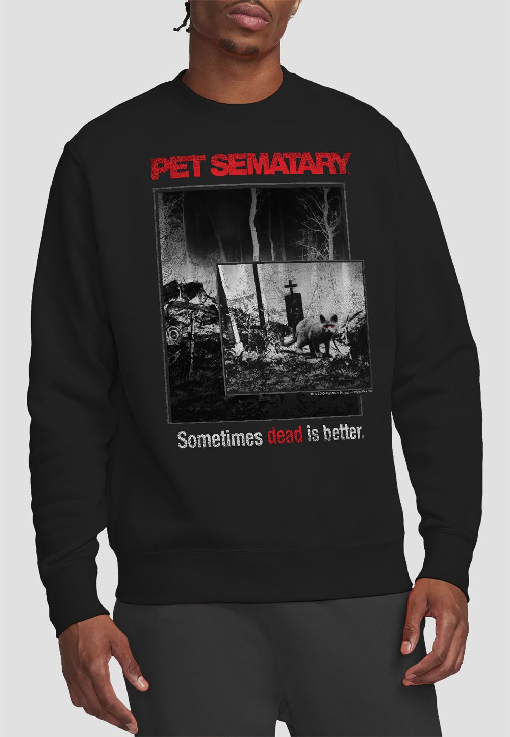 

Толстовка PET SEMATARY CAT POSTER Cotton Soul, черный