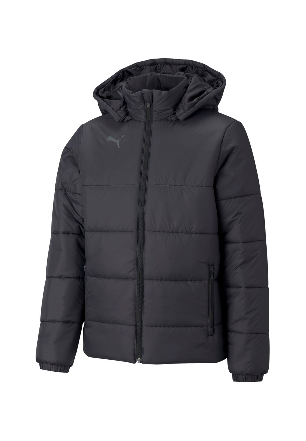 

Уличная куртка TEAMLIGA PADDED JACKE K Puma, цвет schwarzweiss