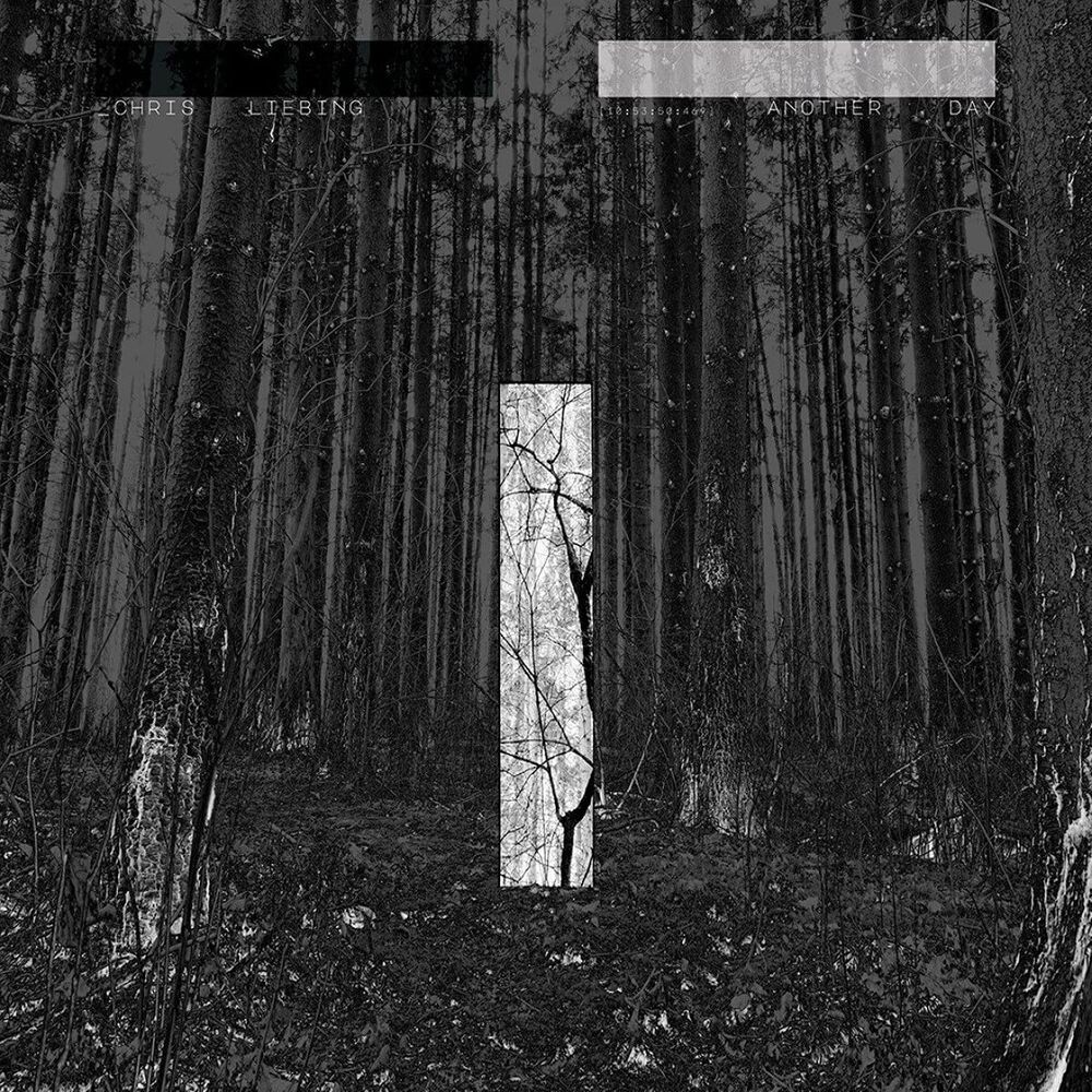

Виниловая пластинка LP Another Day - Chris Liebing