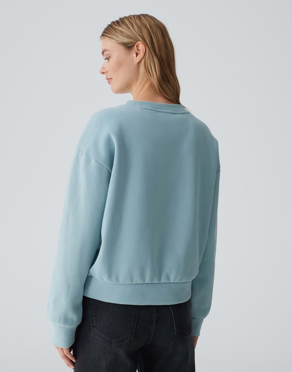 

Толстовка SWEATSHIRT GODIRA Opus, светло-голубой