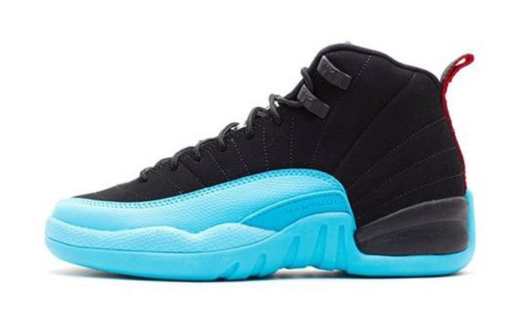 

Кроссовки Jordan Air Jordan 12 Vintage Basketball Female, черный/голубой