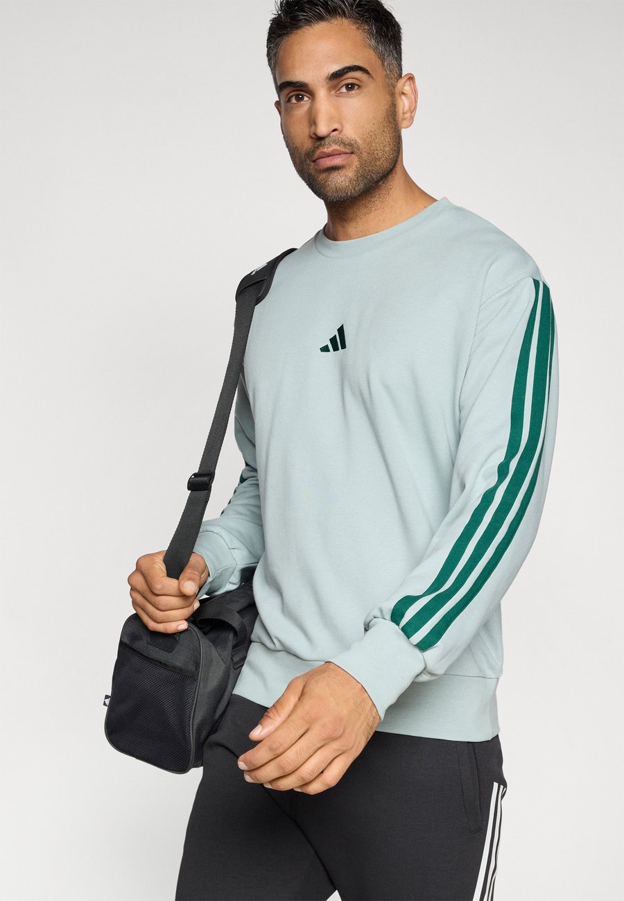 Толстовка Adidas Sportswear Sweatshirt, Sage/Collegiate Green/Light Green — фото 4