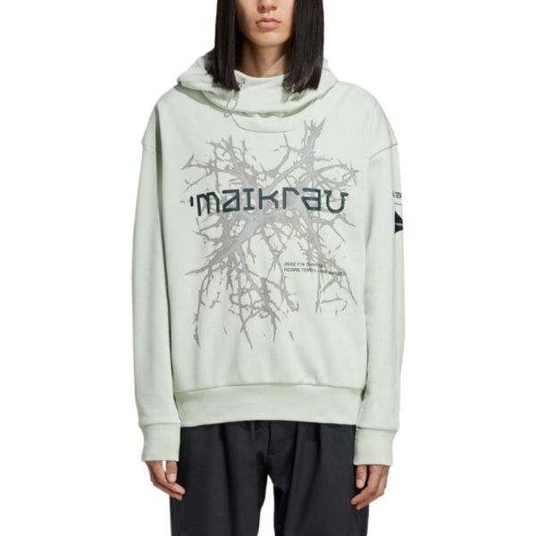 Толстовка Adidas Terrex x and Wander Graphic Hoodie 'Linen Green', зеленый — фото 3