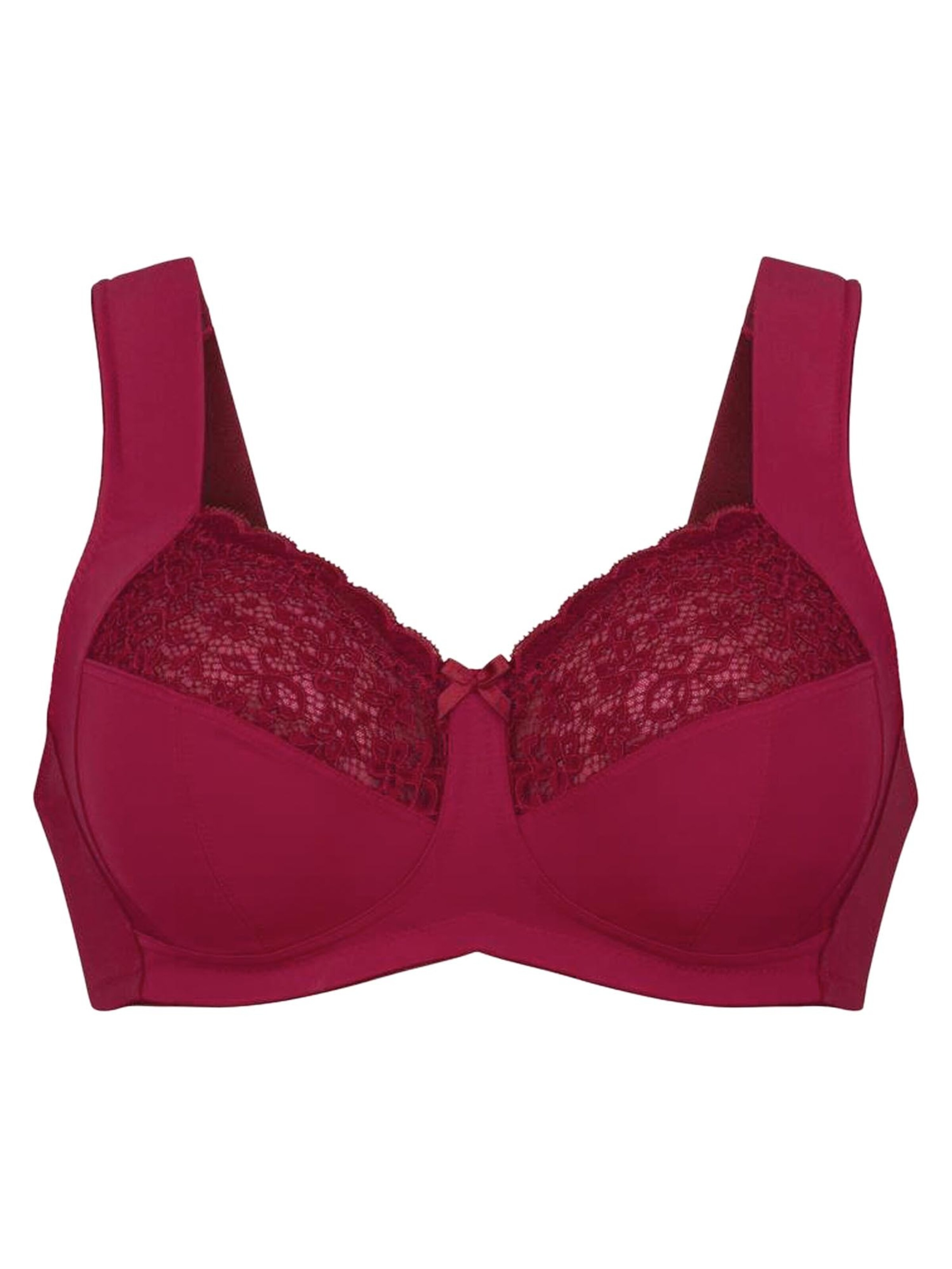 

ANITA Бюстгальтер 'Havanna' в темно-красном цвете