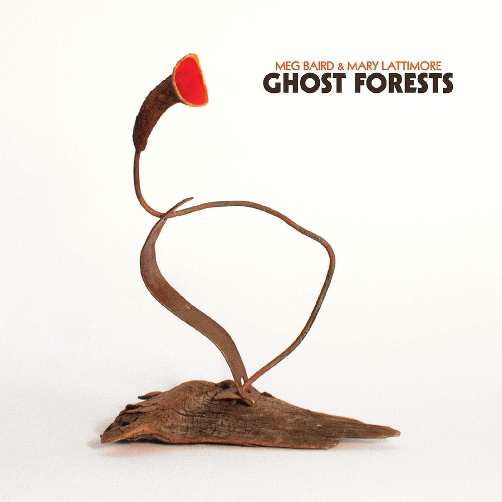 

Виниловая пластинка LP Ghost Forests [Green Vinyl] - Meg Baird, Mary Lattimore