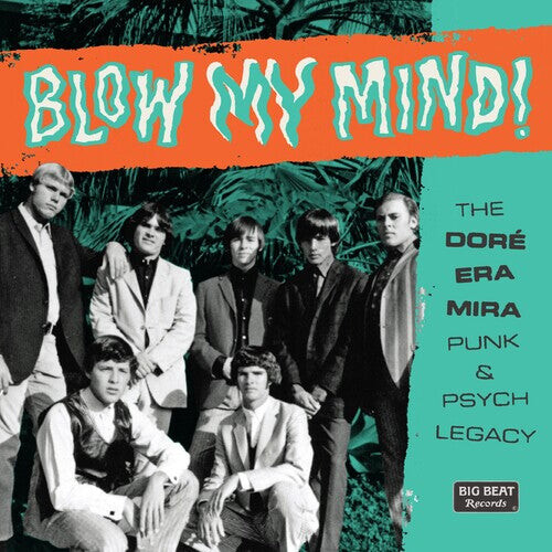 

CD диск Blow My Mind: Dore-Era-Mira Punk & Psych Legacy: Blow My Mind! The Dore-Era-Mira Punk & Psych Legacy / Various