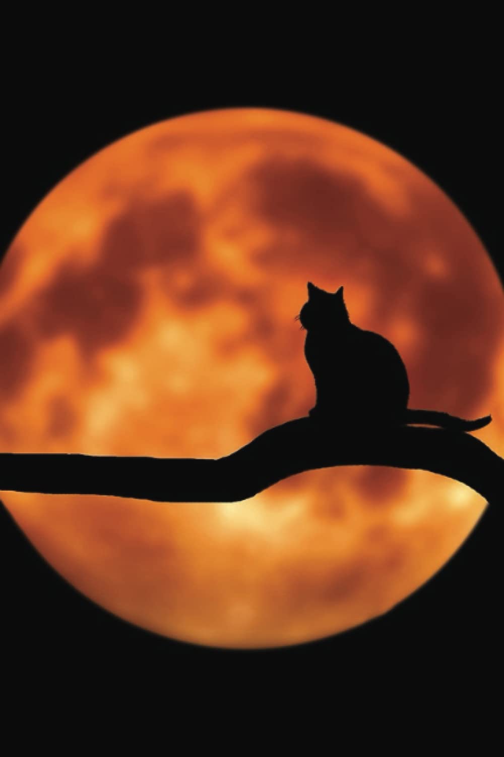 

Cat silhouette notebook (Independently published)