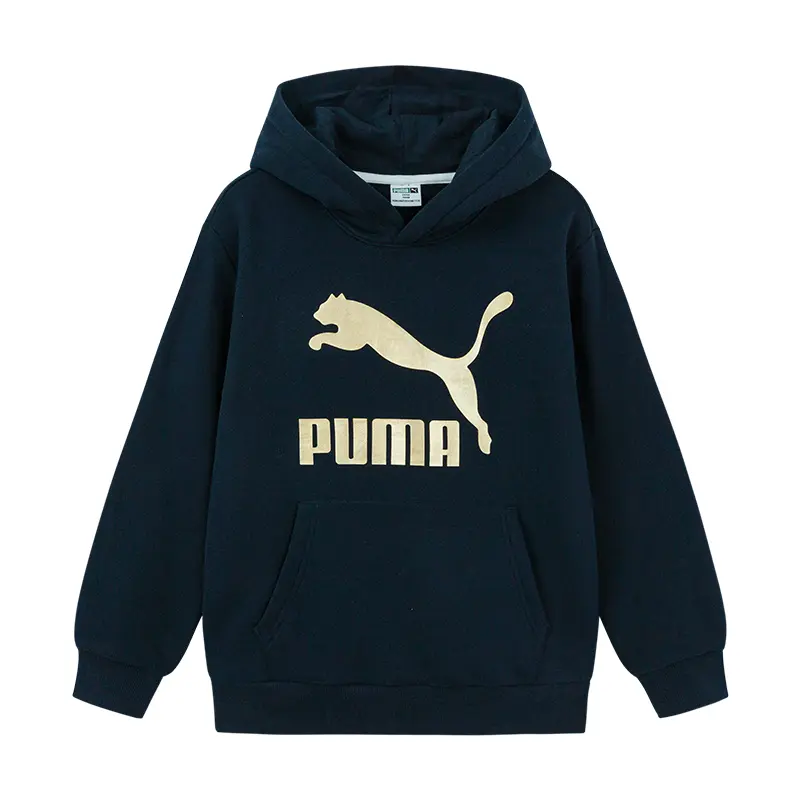 

Толстовка Sportstyle Collection CLASSICS BIG LOGO HOODIE Kids' PUMA, фиолетовый