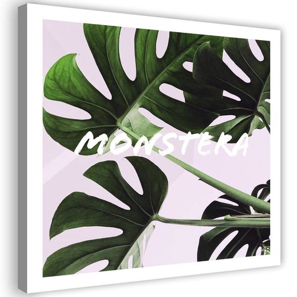 

Картина на холсте Feeby Monstera Exotische Blätter, зеленый