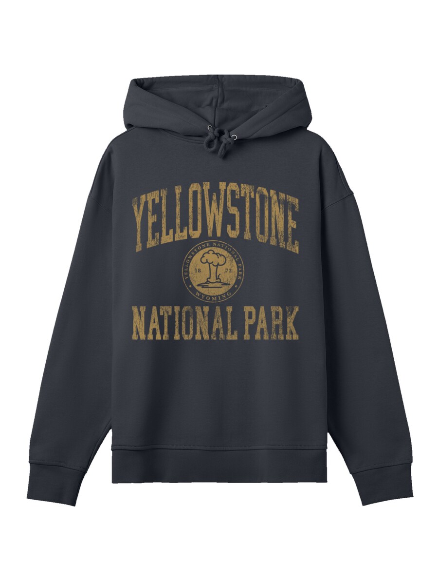 

Толстовка F4NT4STIC US National Parks, Black