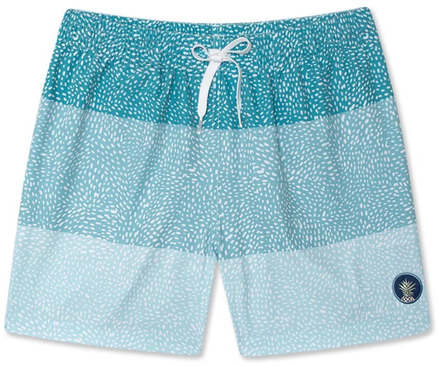 

Эластичные плавки 5,5 дюйма — мужские Chubbies, синий