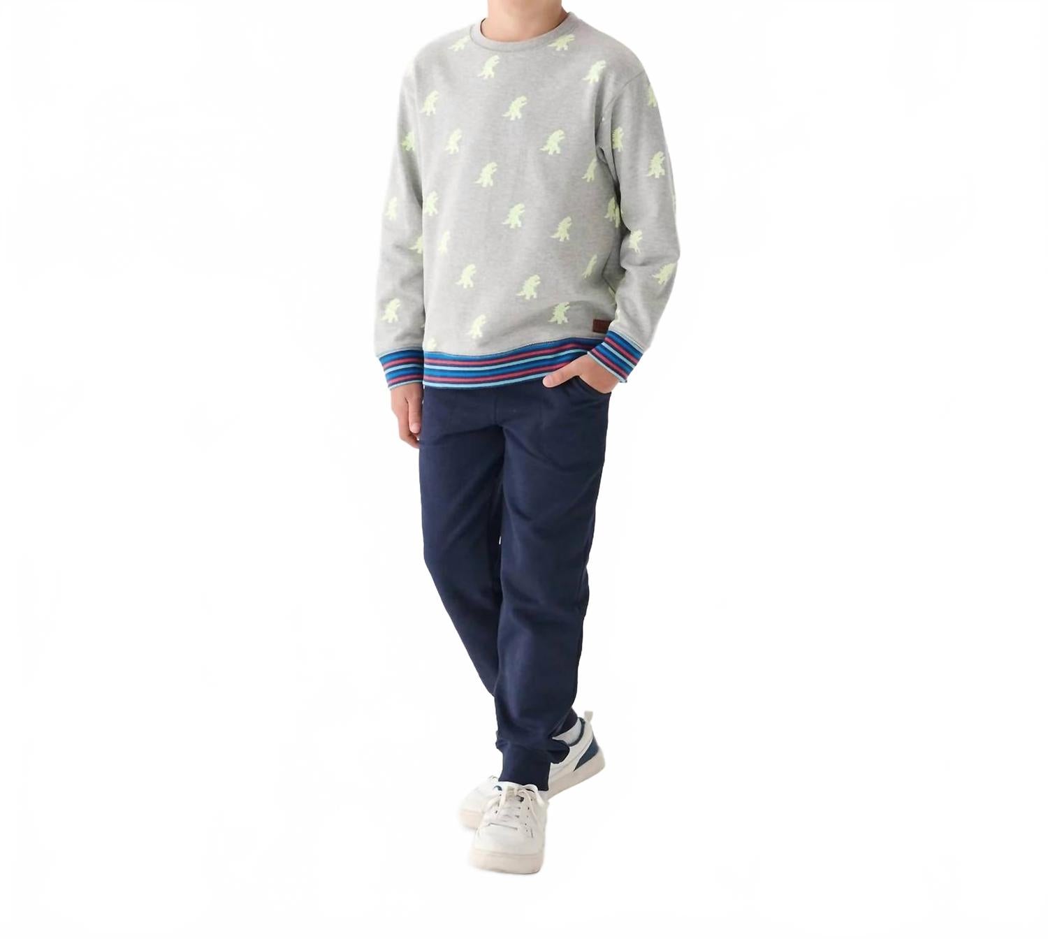 

Hatley Толстовка Monster Pullover серого цвета