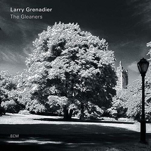 

CD диск Grenadier, Larry: The Gleaners