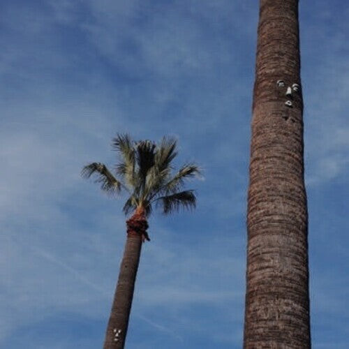 

Виниловая пластинка So Stressed: Please Let Me Know