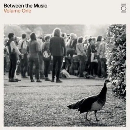 

Виниловая пластинка End Of The Road Presents: Between The Music / Var