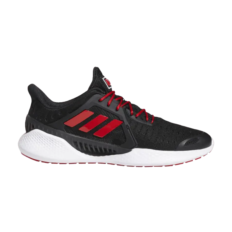 

Кроссовки adidas Climacool Vent Summer.Rdy EM 'Black Scarlet', черный