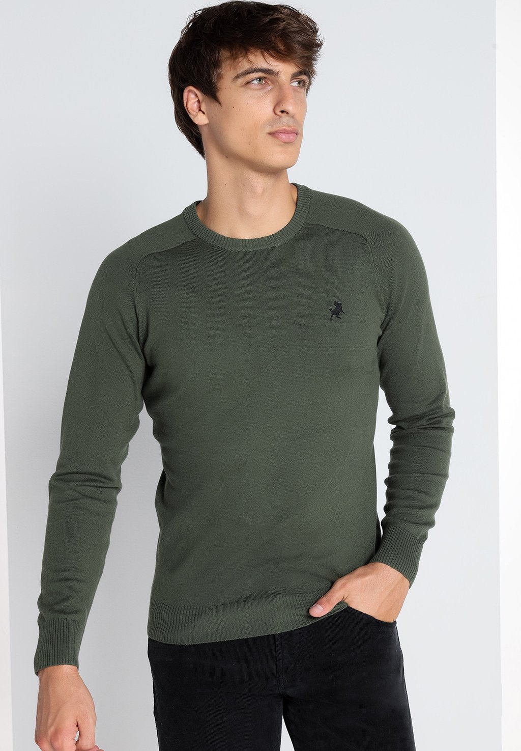 

Джемпер MIT STICKEREI TORO LOIS Jeans, зеленый