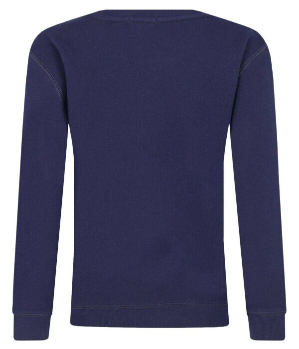 Лонгслив Polo Ralph Lauren Seasonal Regular Fit, синий — фото 2
