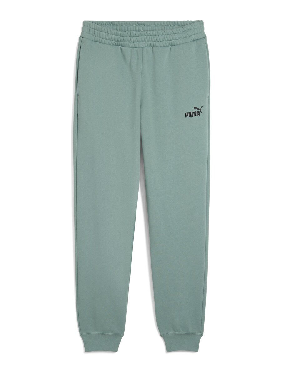 

Обычные спортивные штаны PUMA ESS No. 1, пастельный зеленый