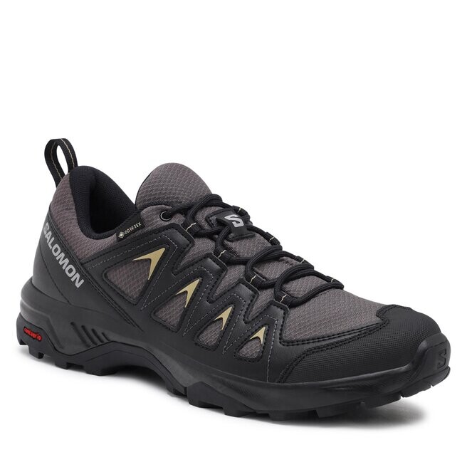

Трекинговые ботинки Salomon XBraze GORE-TEX, серый