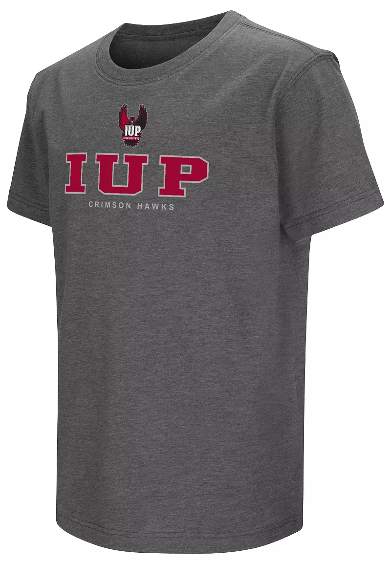 

Серая футболка Colosseum Youth IUP Crimson Hawks