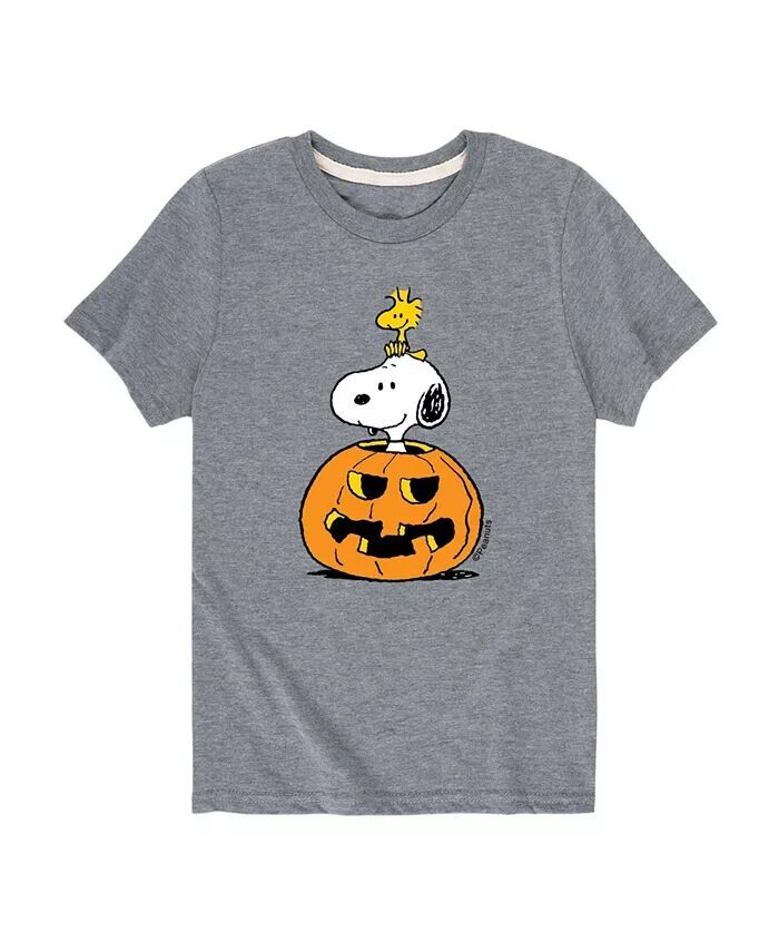 

Футболка Big Boys Peanuts с рисунком Снупи и тыквы Hybrid, серый