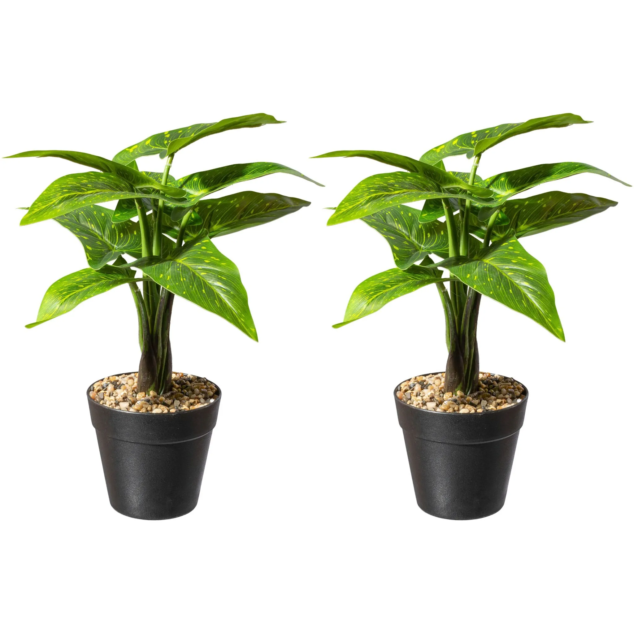 

Креатив зеленый Искусственное комнатное растение «Алоказия зебрина» Creativ Green