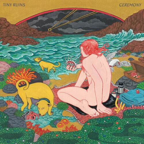 

CD диск Tiny Ruins: Ceremony