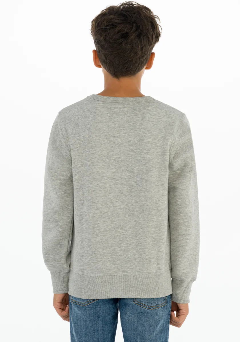 Детская толстовка Levi's "LVB LVB FRENCH TERRY BATWING", для МАЛЬЧИКОВ Levi'S Kids, серый — фото 4