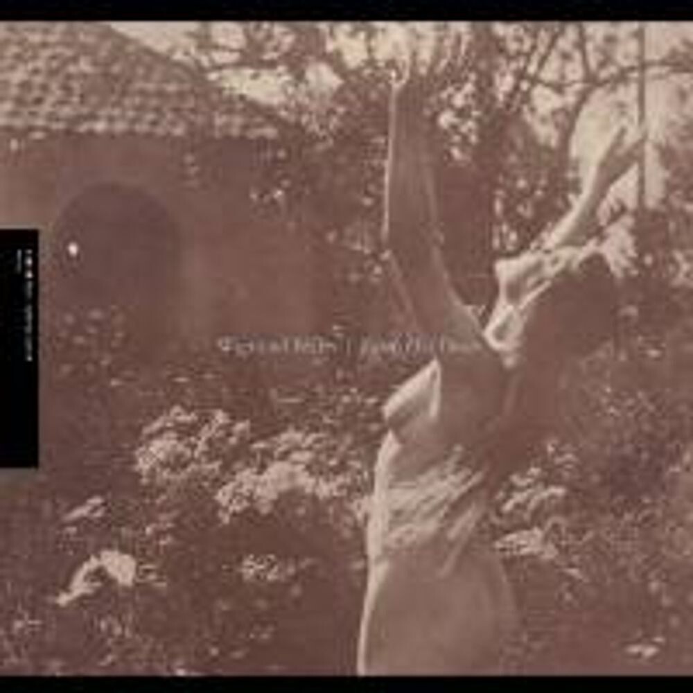 

Виниловая пластинка LP Earth Has Doors - Wymond Miles