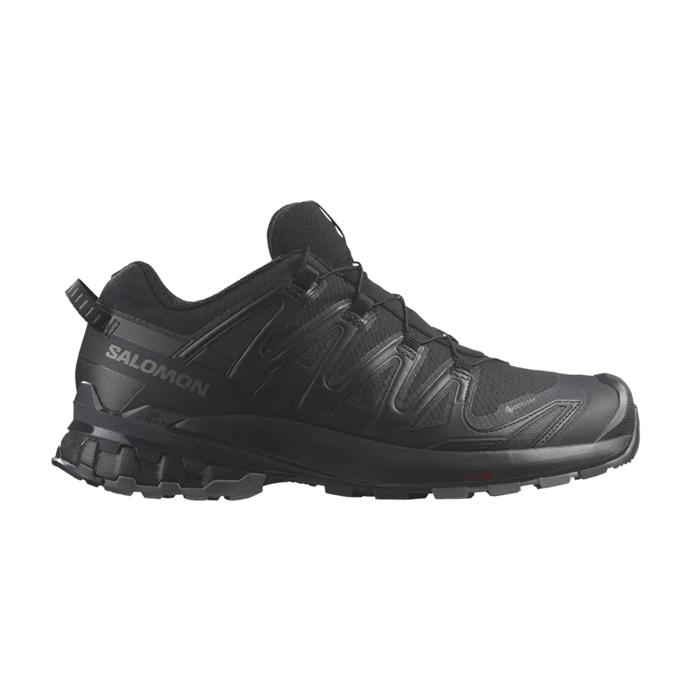 

Кроссовки XA Pro 3D V9 GORE-TEX Salomon, черный