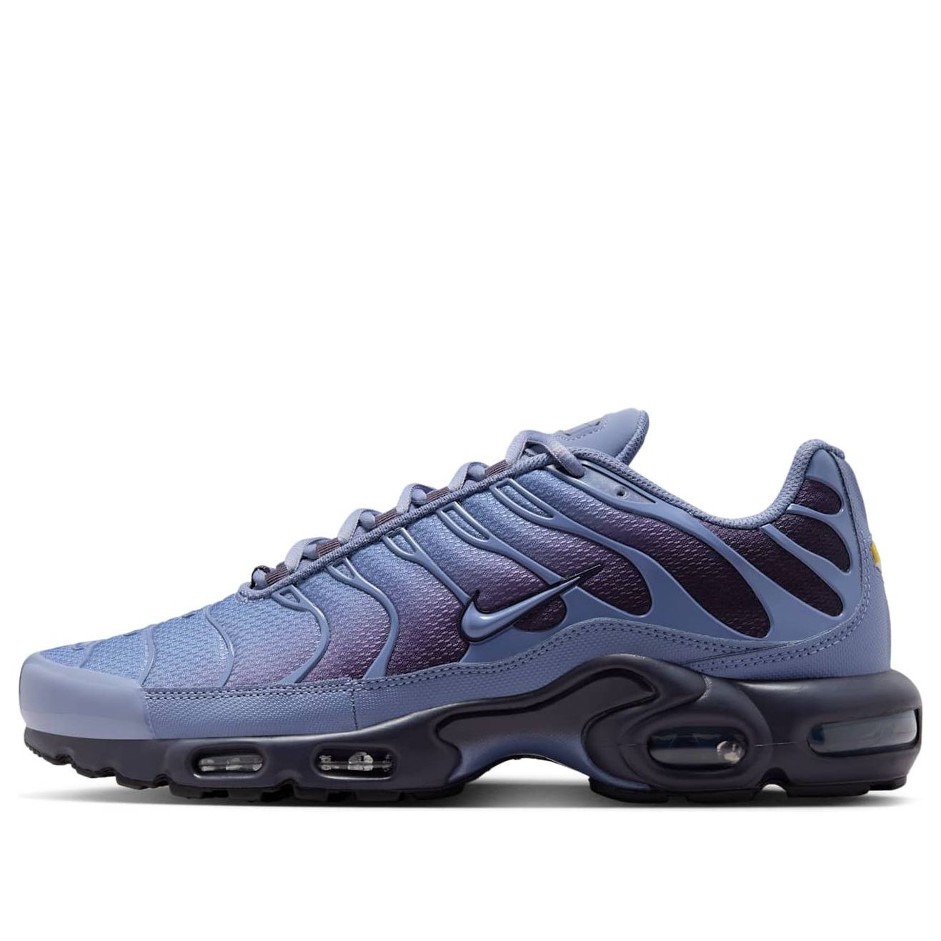 

Кроссовки Nike Air Max Plus 'World Indigo'