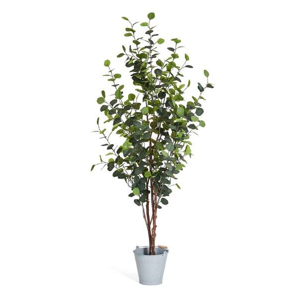 

Декоративное растение IBBE DESIGN Eukalyptus 180 cm, зеленый