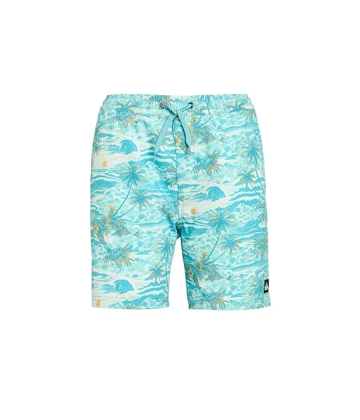 Шорты для плавания Surfsilk Mix Quiksilver Kids, Aqua