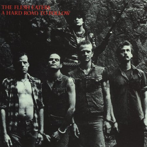 

CD диск Flesh Eaters: Complete Hard Road to Follow Sessions