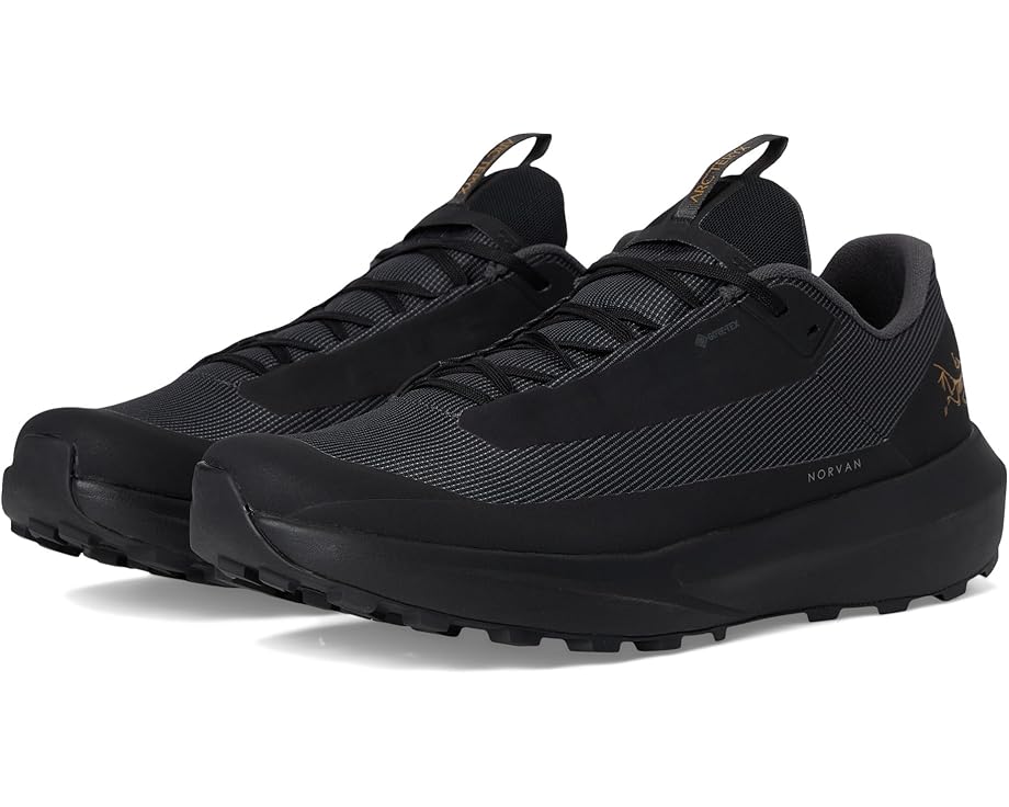 

Кроссовки Arc'teryx Norvan Ld 4 GTX, цвет Black/Black
