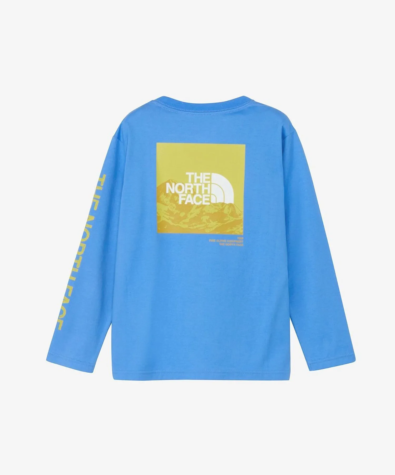 Детская футболка с графикой THE NORTH FACE NTJ32537 светло-голубая