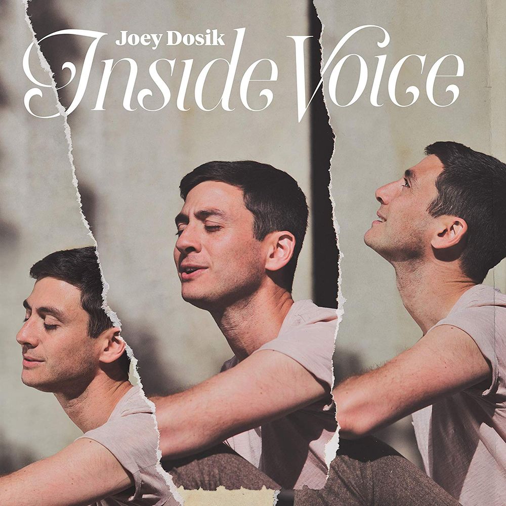 

Диск CD Inside Voice - Joey Dosik