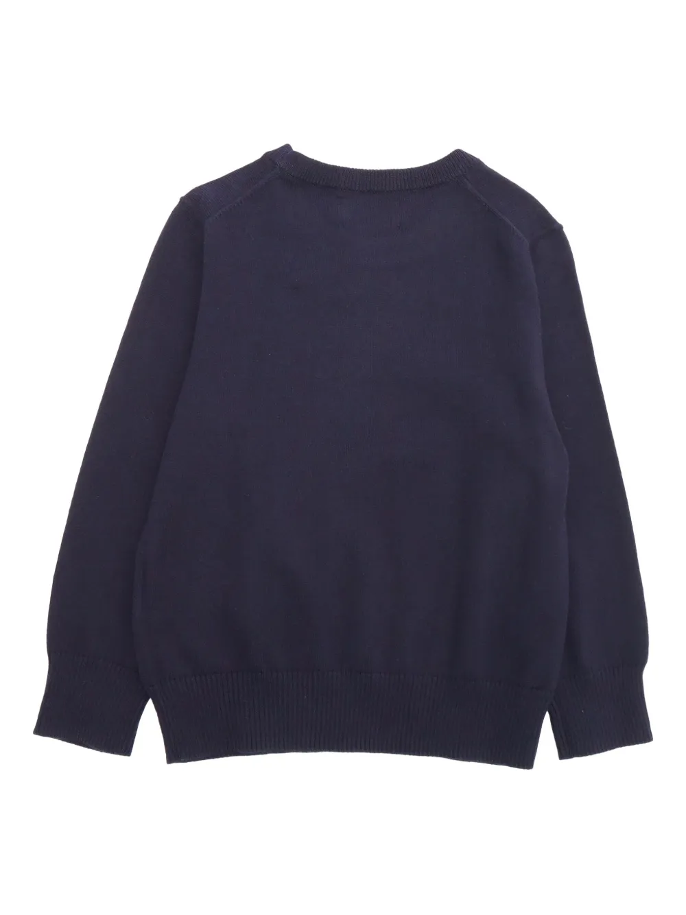

Вышитая хлопковая толстовка POLO RALPH LAUREN KIDS, синий