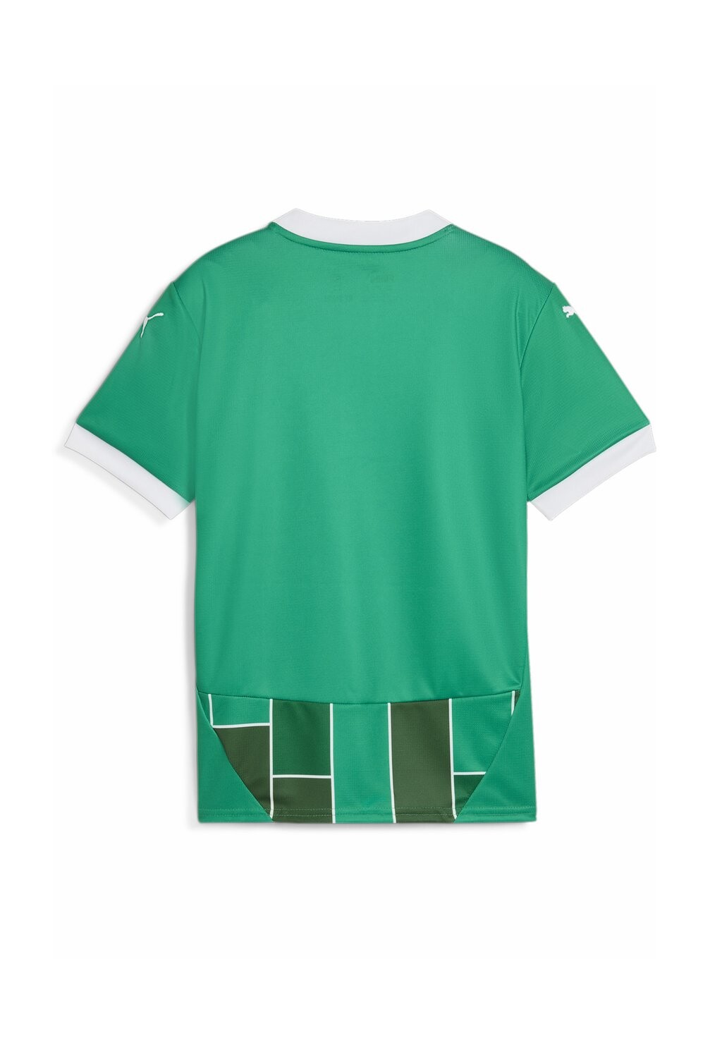 

Футбольная майка RAPID WIEN HOME YOUTH Puma, зеленый