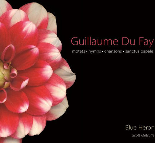 

CD диск Fay / Ockeghem / Lantins: Motets Hymns Chansons Sanctus Papale