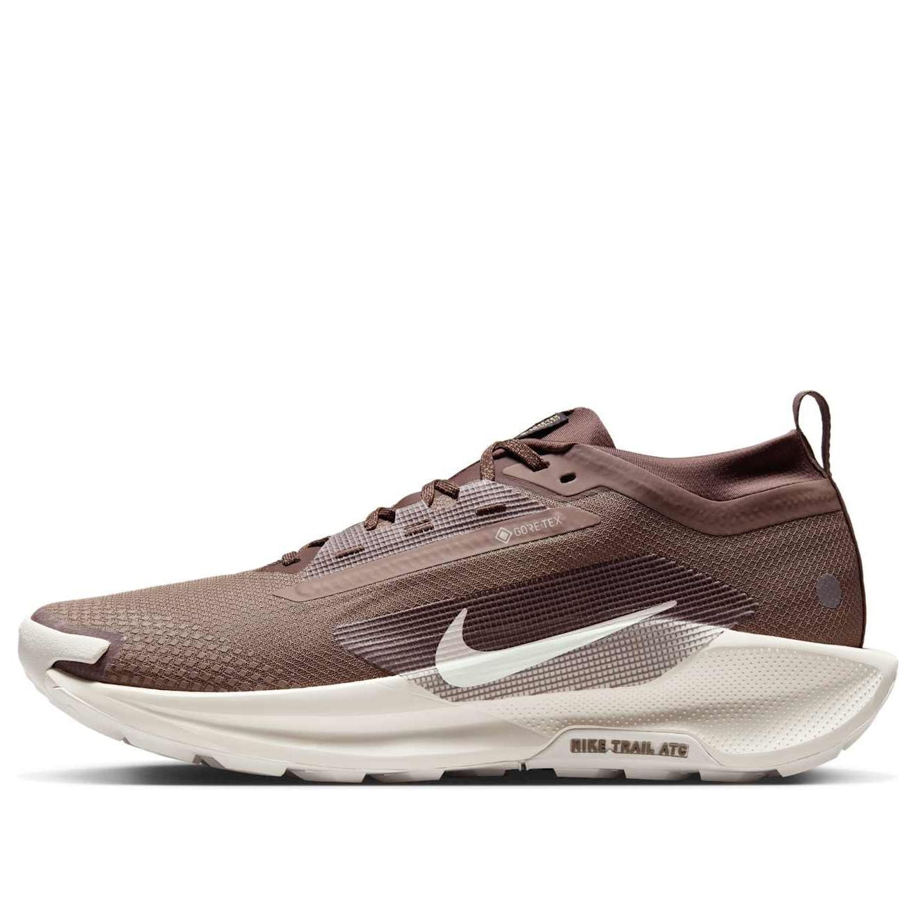 

Кроссовки Nike Pegasus Trail 5 Gore-Tex 'Mink Brown'