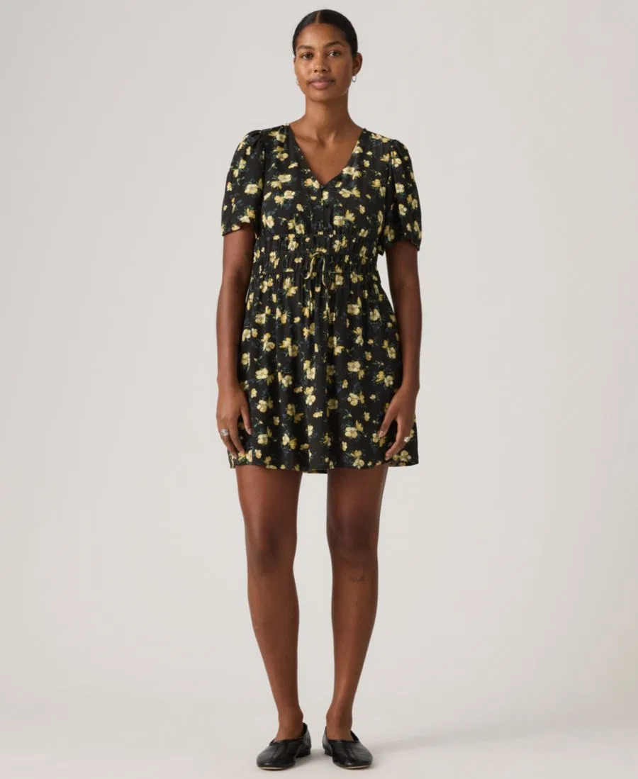 Женское мини-платье Rylan с V-образным вырезом из крепа Levi's, Blake Brushstroke Floral Small V5 Rattan