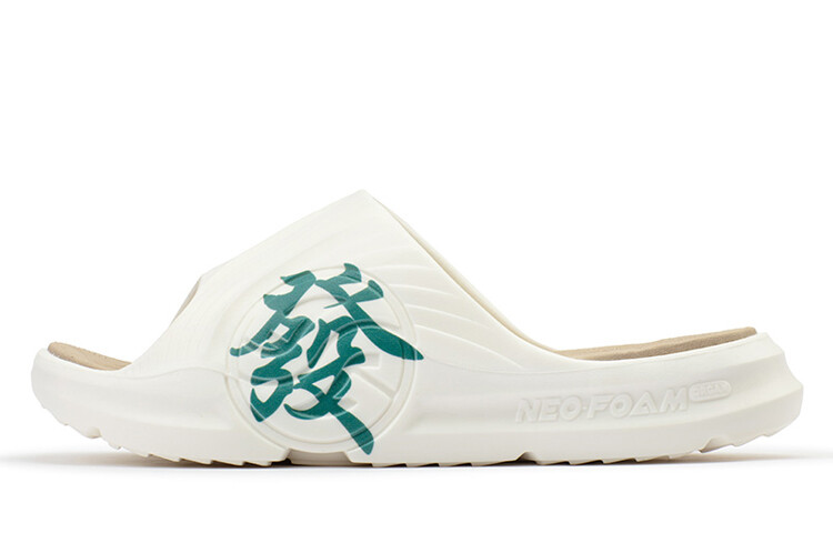 

Вьетнамки мужские AG Tidal Drag Feather White/them Lake Green 361°