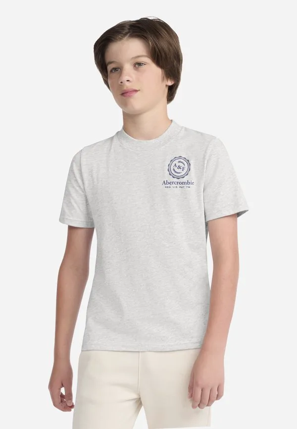 Футболка с принтом Abercrombie & Fitch, Light Grey Heather — фото 3