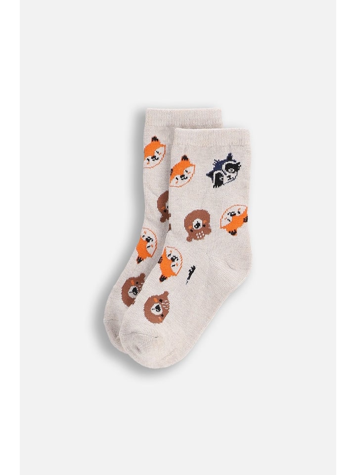 

Coccodrillo Разноцветные носки