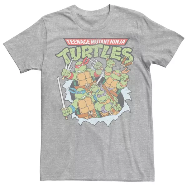 

Футболка мужская Teenage Mutant Ninja Turtles с принтом "Пробивающие стены" Nickelodeon, серый